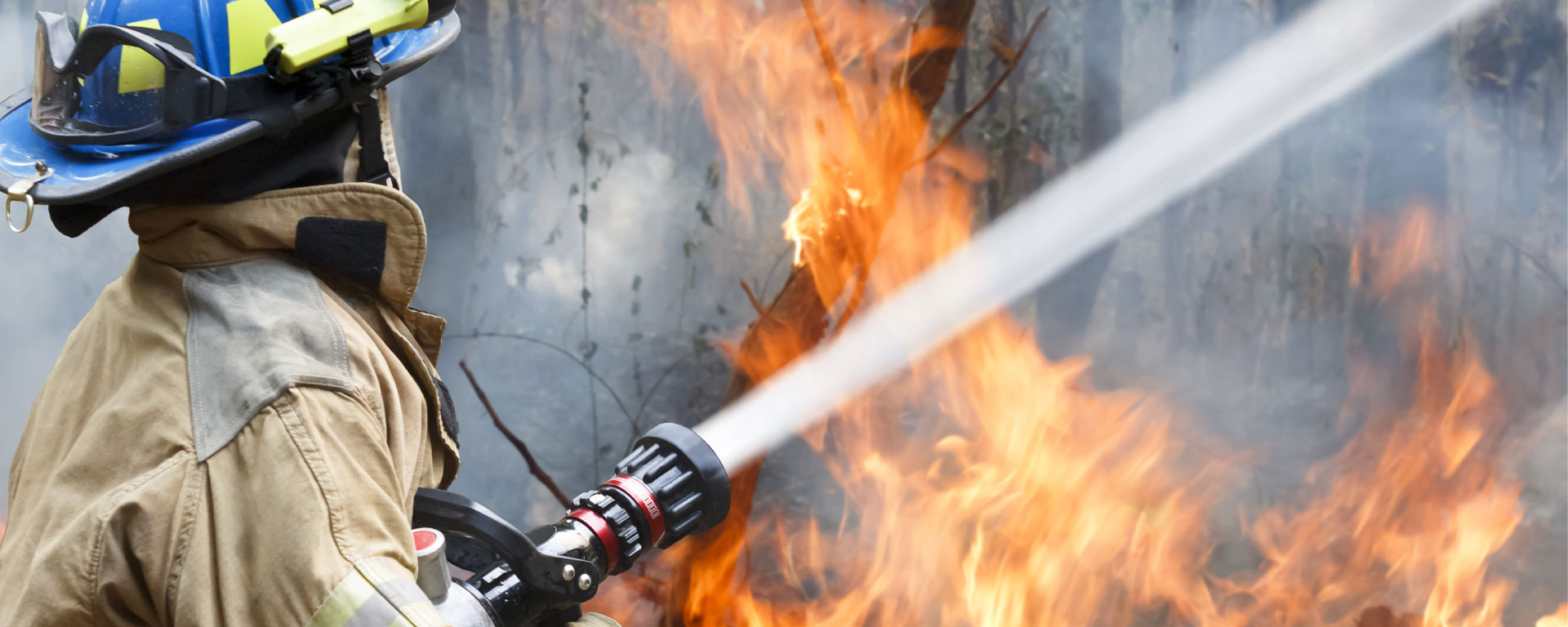 prepare for a wildfire