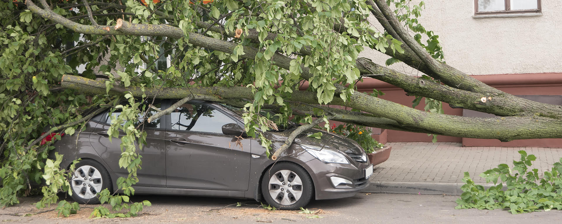 A couple smiling and reviewing a piece of paper